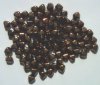 100 6mm Bicone Bronze